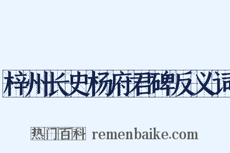 梓州长史杨府君碑反义词是什么意思的图片